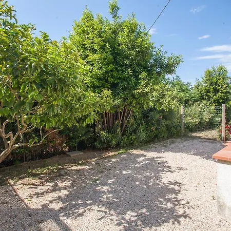 Villini A Schiopparello *